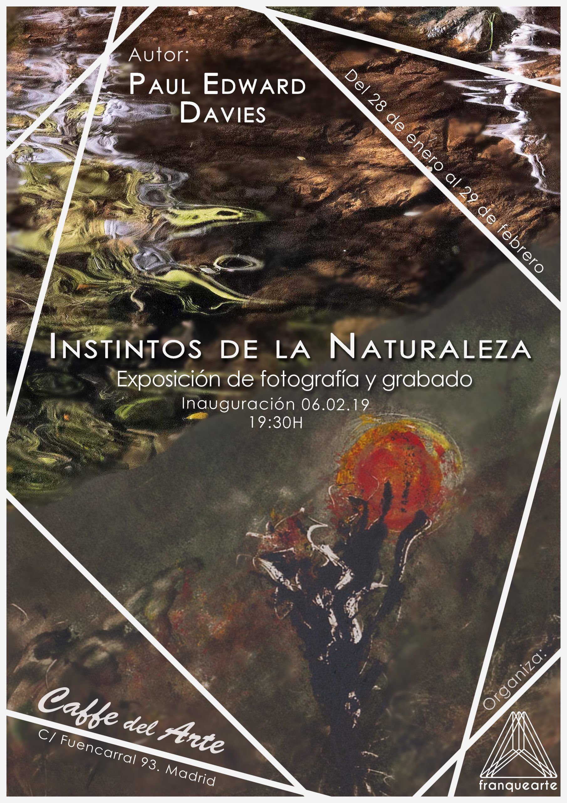cartel caffe del arte2