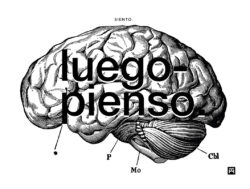 SIENTO LUEGO PIENSO
